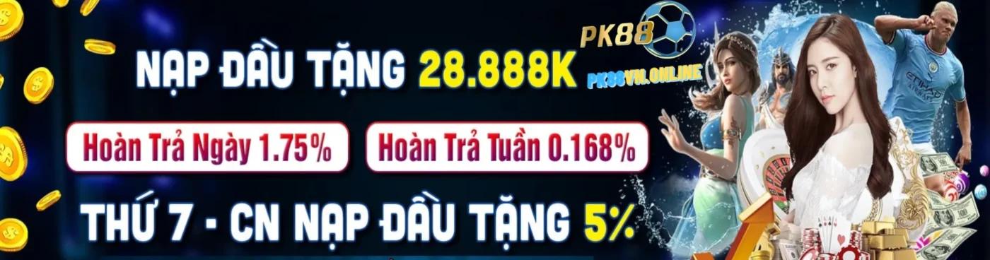 PK88-nap-dau-tang-28888k